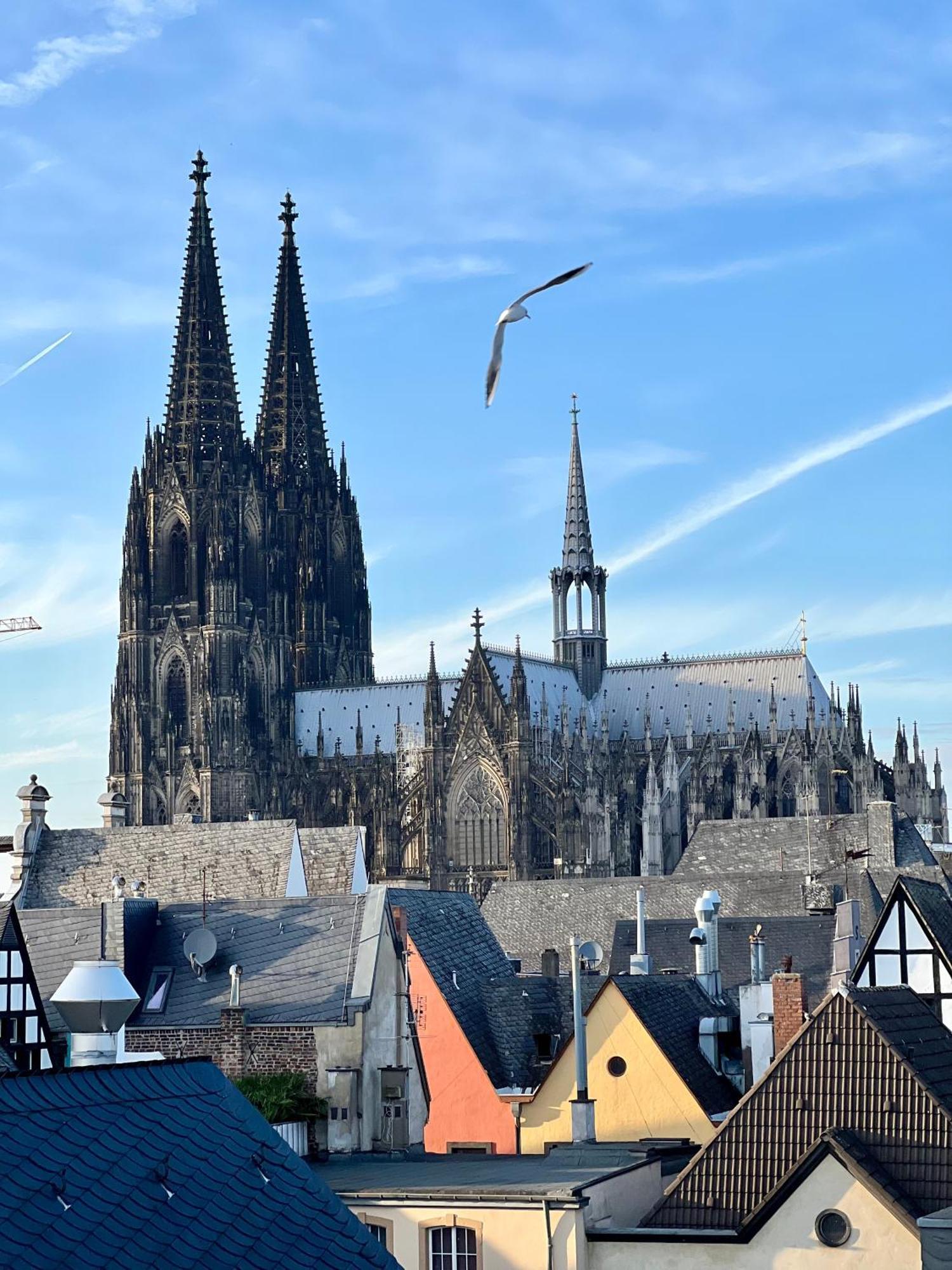 Altstadthotel Hayk Am Rhein Kolín nad Rýnem Exteriér fotografie